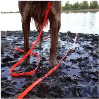 Melitt Waterproof Dog Leash for All-Weather, PVC Material, Easy Clean, for All Dog Sizes, 5m to 10m Lengths Black-5m
