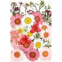 Typecat 36 PCS Real Dried Pressed Flowers Leaves Petals for DIY Candle Resin Jewelry Nail Pendant Crafts Making Art Decor-