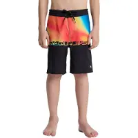 Quiksilver Everyday Half Jam 17´´ Uimashortsit