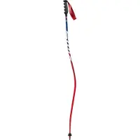 Swix World Cup Pro Dh Carbon Kävelysauvat