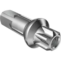 Dt Swiss Squorx Pro Head Pro Lock Anodized Nipat 100 Yksiköt
