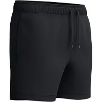 Speedo Classic Logo 16in Uimashortsit