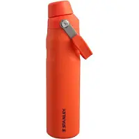 Stanley Aerolight Iceflow Bottle termos 0,6 litraa, tigerlily plum