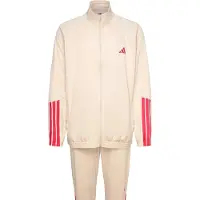 Adidas M 3S Stadium Ts - Cream - L