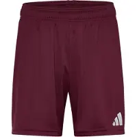 Adidas Entrada 26 Shortsit