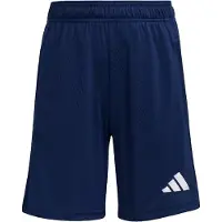 Adidas Entrada 26 Training Shortsit