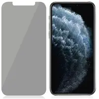 PanzerGlass iPhone 11 Pro/XS Standard Fit Privacy Panssarilasi - 9H