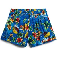 Superdry Beach Shortsit
