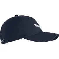 Salewa Fanes 3 Lippis