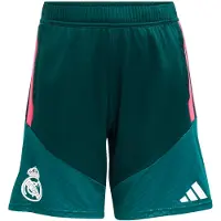 Adidas Real Madrid Treenishortsit Tiro 26 - Aurora-muratti/pinkki Lapset - , koko 176 cm