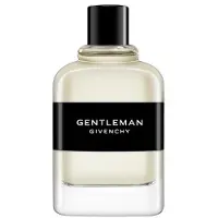 Givenchy Gentleman, EdT 100ml