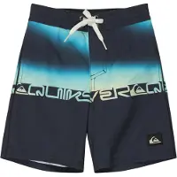 Quiksilver Everyday 13´´ Uimashortsit