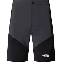 The North Face Felik Slim Shortsit