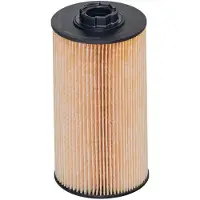 HENGST FILTER Polttoainesuodatin E849KP D1076