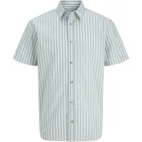 Jack & Jones Paita 'JJCHAD' minttu / musta / valkoinen