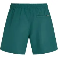 O'Neill Logo 16'' Surffishortsit vihreä, S