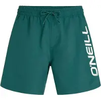 O'Neill Logo 16'' Surffishortsit botanical heat Koko L