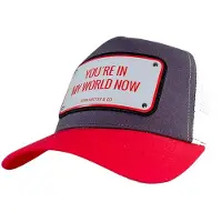 John Hatter & Co You Are In My World Now Lippis