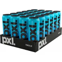 PXL Insert Coin (Mustikka &amp; Vadelma) 24 x 500 ml