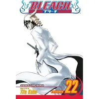 Kubo, Tite Bleach, Vol. 22