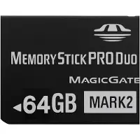 24.Se Memory Stick PRO Duo 64 GB - Mark 2