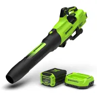 Greenworks Akku lehtipuhallin BL2206HA2; 60 V; 1x4,0 Ah akku
