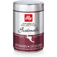Illy | Guatemala - 250 g kahvipapuja