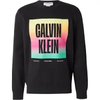 Calvin Klein Jeans Ls 350Tery Calvn Prde Cn Swtshrt - Black - S