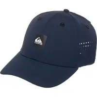 Quiksilver Decades Tech Lippis
