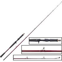 Westin W6 Jerkbait-t Baitcasting-vapa
