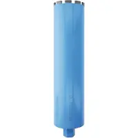 Bosch Accesorios Timanttikuivaporanterät 2608601741; 122x450 mm