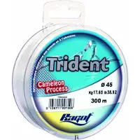 TORTUE Trident Monofiilisiima 300 M