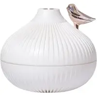 Typecat 300 ml:n pieni sipuli-ilmankostutin, aromadiffuusori, kannettava LED-höyrystin, Sma
