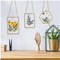 Melitt 6 Packs Pressed Flowers Glass Frames- Golden Hanging Glass Picture Frames with Chain Floating DIY Artwork Display Frames