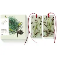 Pure Living Douglas Pine - Scented Wax Tablets 2x