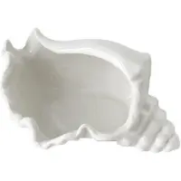 Exogio Shell-korulautanen, Ocean Theme keraaminen valkoinen tarjotin