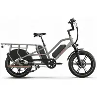 Jobobike Sähkökeskiöpyörä - - Transer - 250 W - Akku 15 Ah - Nopeus 25 km/h - Harmaa