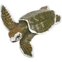 Safari Ltd. Kempin Ridley-merikilpikonnavauvahahmo - el v n n k inen 5" mallihahmo - opettavainen lelu pojille, tyt ille ja lapsille 18 kk+