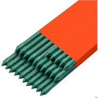 DUOKU Kasvituen - - 25 Kappaleen Metallipidikkeitä - 210 cm - Teräs PE-pinnoitteella - Ekologinen