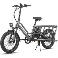 Fafrees FF20 CUV - Sähköinen cargo-pyörä - 250 W - 48 V - 24 Ah - 20 tuuman napa - Maksiminopeus 25 km/h - Harmaa