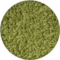Rugsx Alfombra ETON círculo verde circulo 100 cm