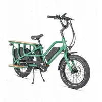 Jobobike Sähköpyörä - - Transer - 250 W - 48 V - 15 Ah - Maksimik速度 25 km/h