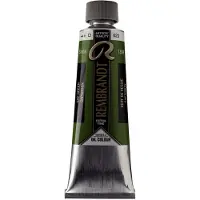 Rembrandt Oil Colour Tube 150 ml Sap Green 623