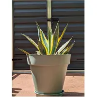 Riviera Vihreä 50 cm Kukkaruukku