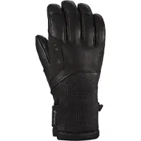 Dakine Kodiak Gore-tex T1-r Käsineet