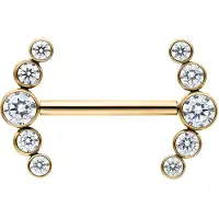 Wildcat Penta Crystal Barbell - barbelli kristallikoristeilla - 14,0 mm, Kultainen metalli