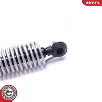 ESEN SKV Kaasujousi, tavaratila 52SKV563