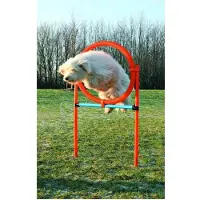 Trixie Agilitybåge för hundar 115 x 3cm plast
