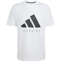 Adidas Juventus Turin Dna Graphic Lyhythihainen T-paita