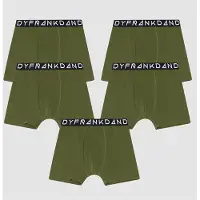 Frank dandy Bokserit 5 pack Vihreä